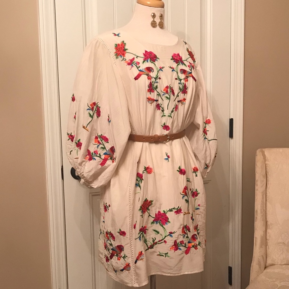 Zara parrot embroidery design dress